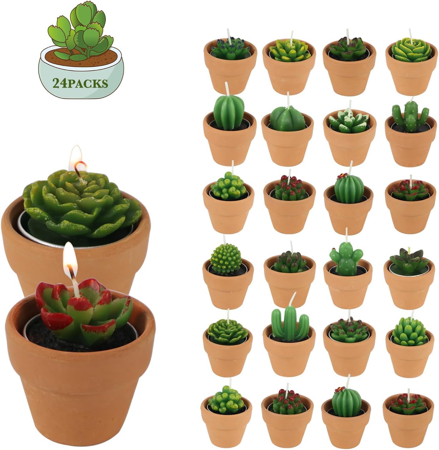 24-pack Succulent Cactus Candles
