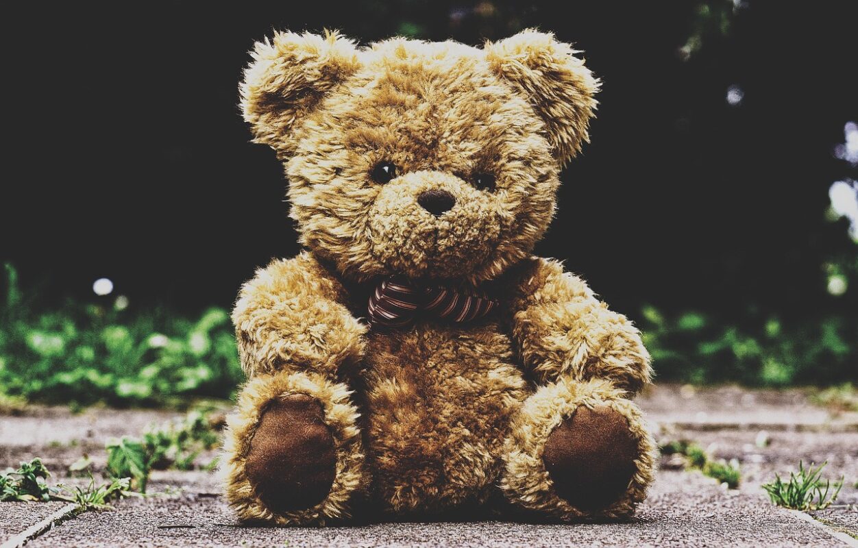 Soft toys and small children: what the label covers and what it does not